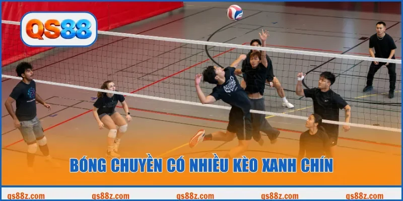 Bóng chuyền có nhiều kèo xanh chín